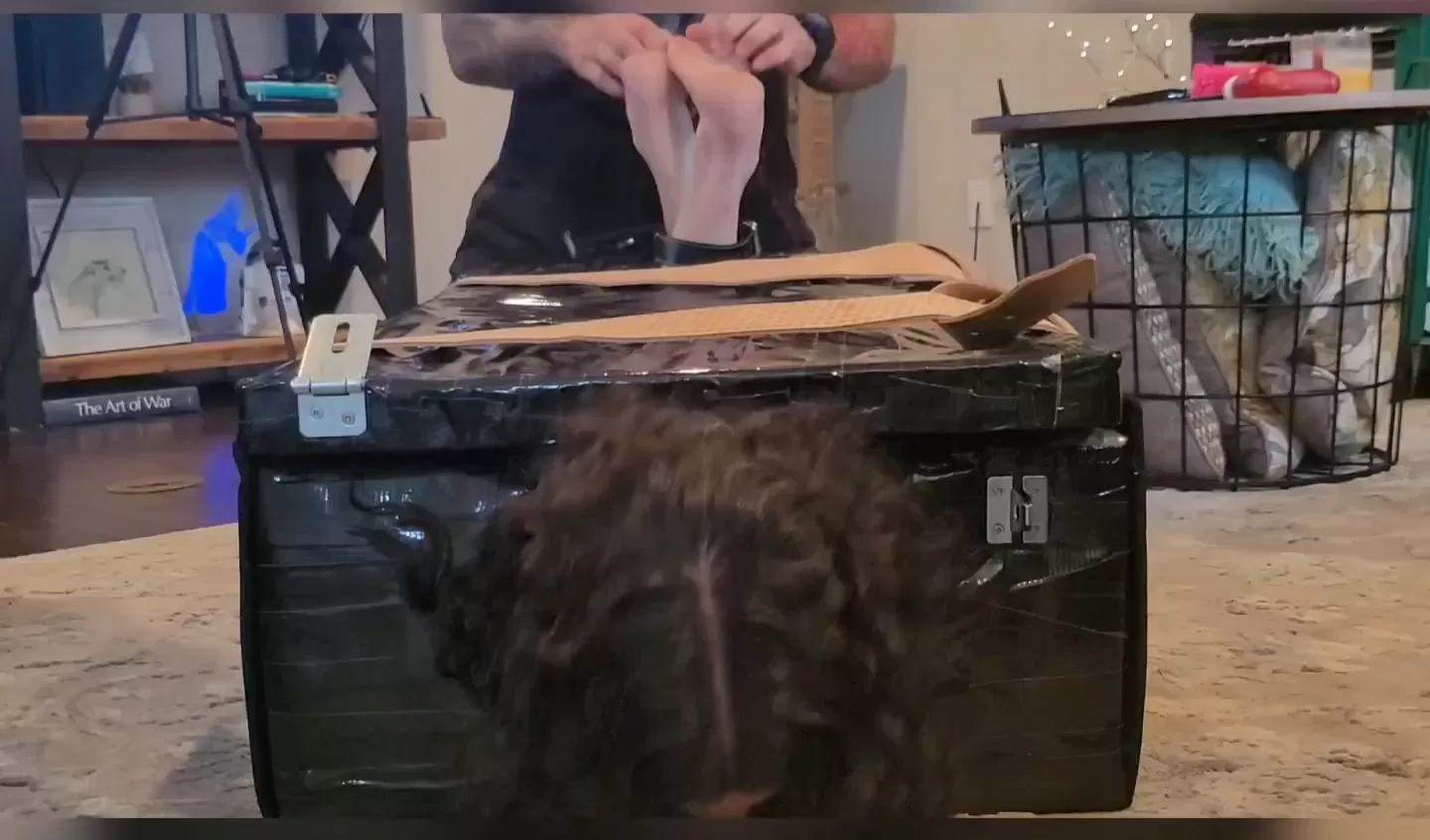 Fettish – Bella Luxx in HOSTickEL.mp4_snapshot_02.38.000.webp