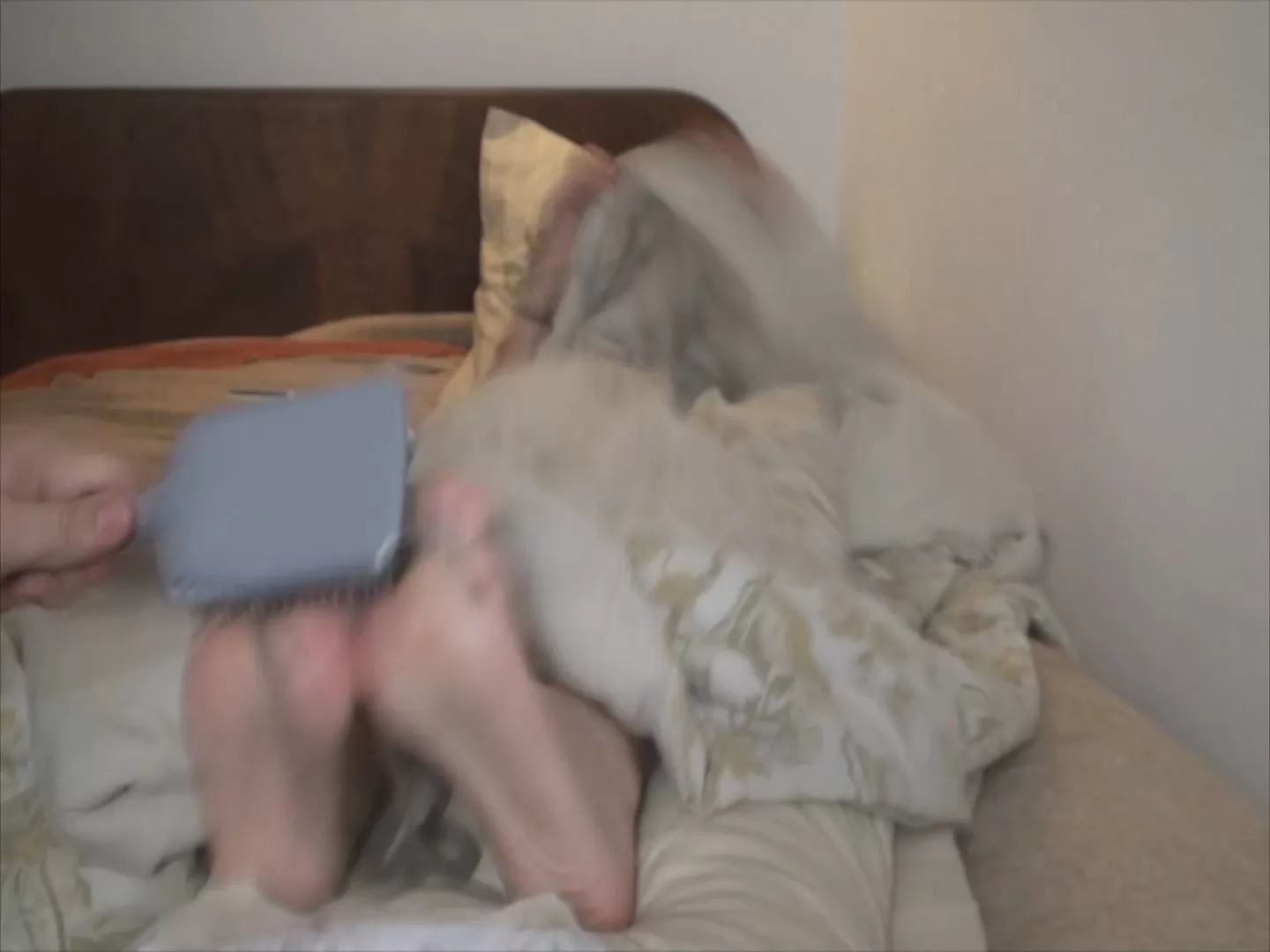 TheTickleRoom - Perlas Surprise Tickle .mp4_snapshot_04.31.104.webp