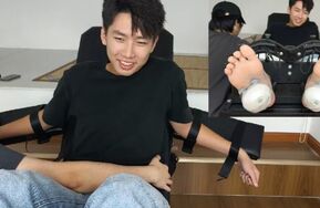 小田五部破解版